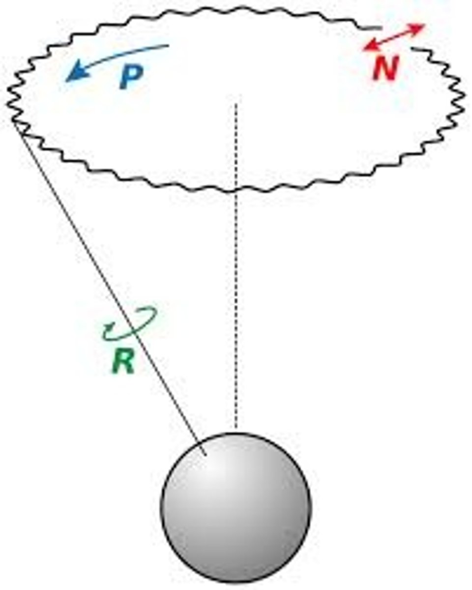 <p>the slow, conical motion of Earth's axis of rotation caused principally by the gravitational pull between Vega and the North Star (23,000 year cycle)</p>