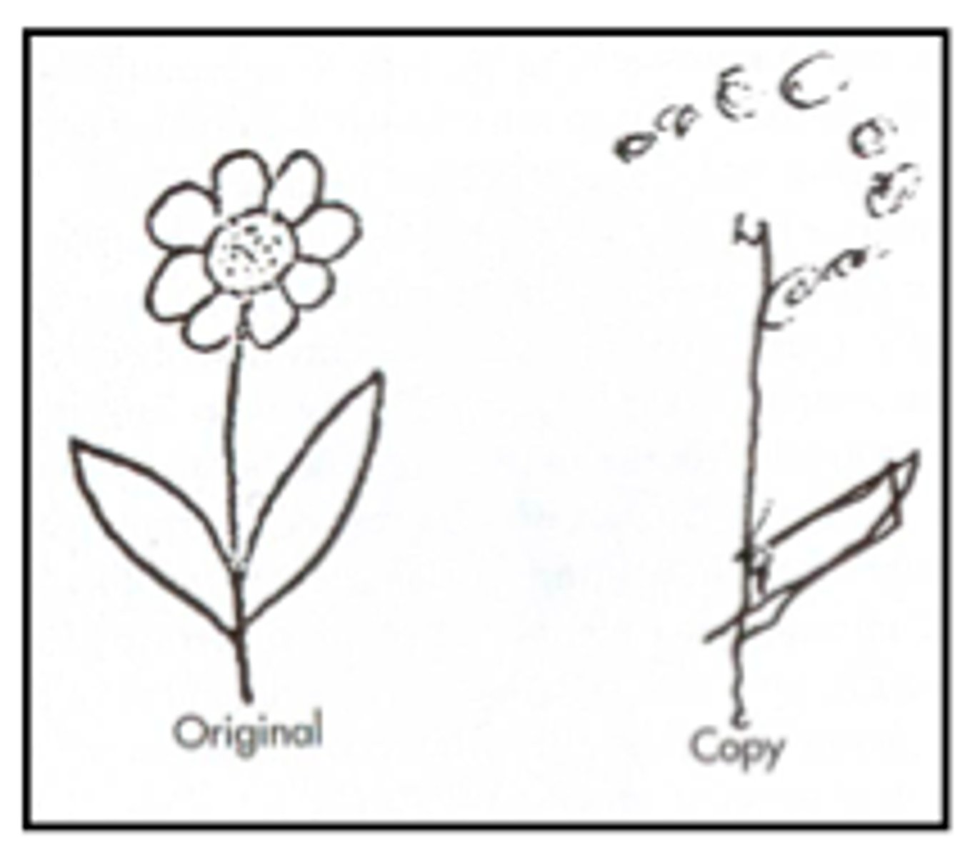 <p>unaware of objects on opposite side of the body</p>