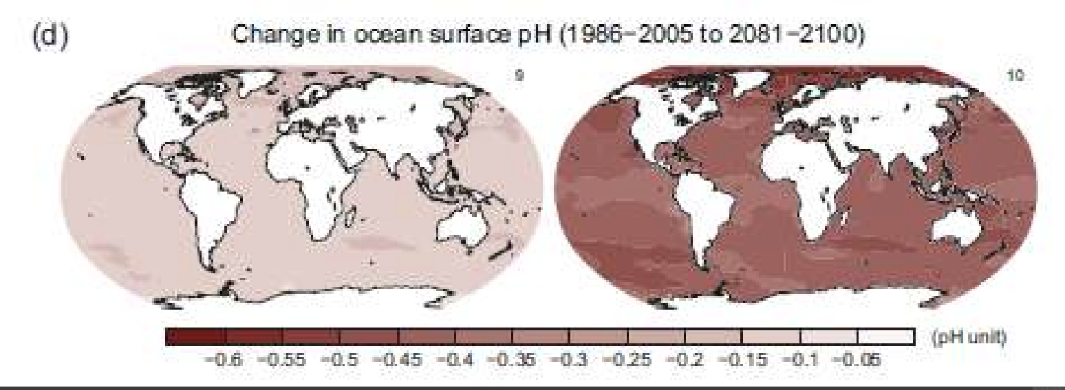 <p>Ocean Acidification – the oceans as a sink for CO2 .</p>