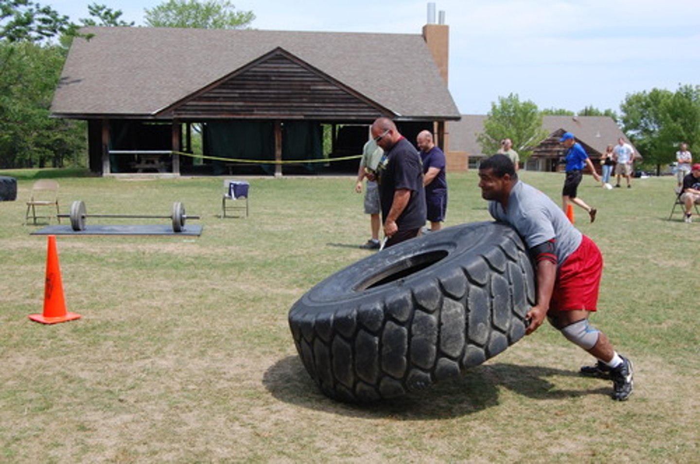 <p>(a) chắc, bền, dai</p>