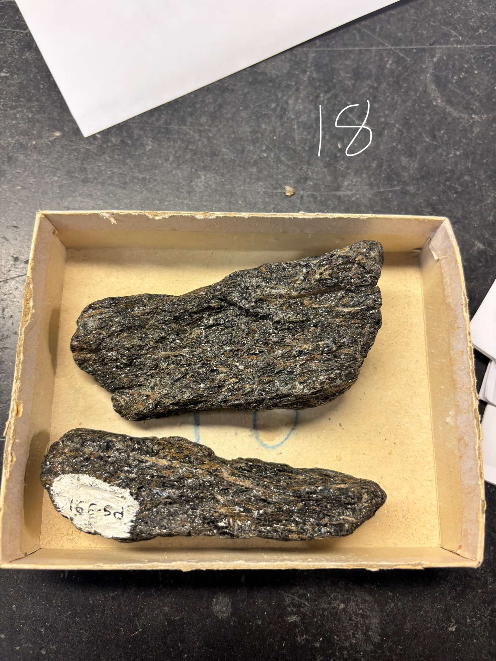 <p>Minerals Present ?</p><p>Overall texture ?</p><p>Rock Name ?</p>