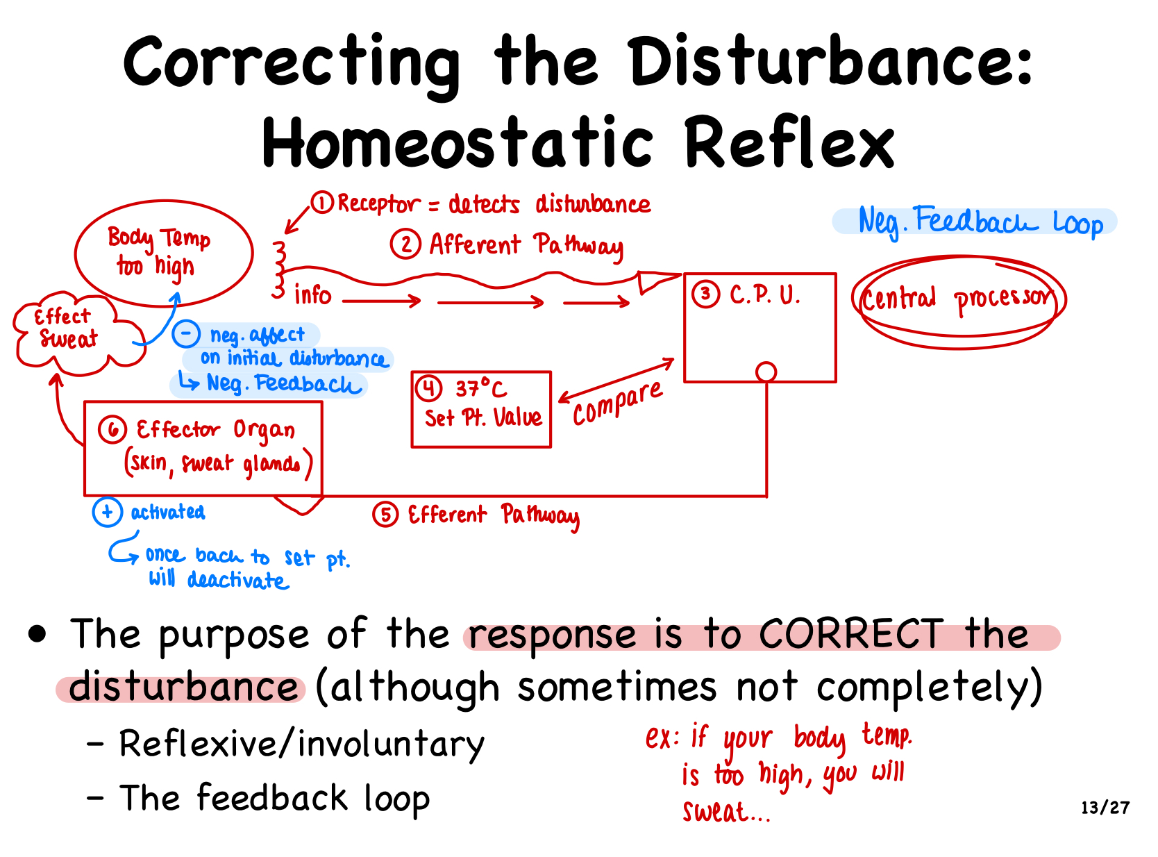 <p>How do you correct the disturbance, what is homeostatic reflex? Describe the image.</p>