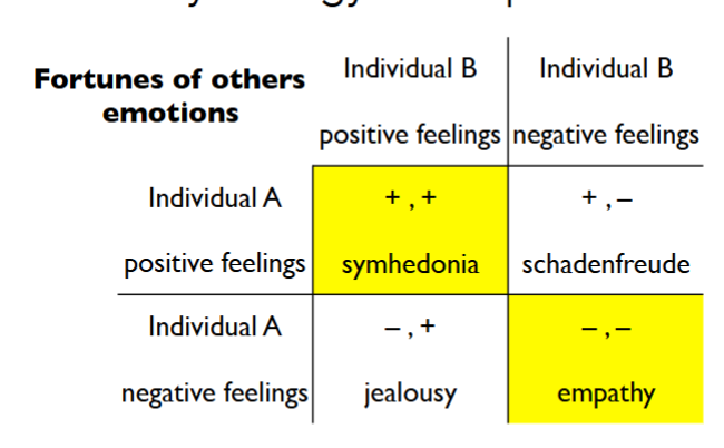 <ul><li><p>symhedionia - when both are feeling positive emotions</p></li><li><p>schadenfreude -  when someone is feeling positive and you are feeling negative</p></li><li><p>jealousy - when someone is happy and you are sad</p></li><li><p>empathy - both feeling negative</p></li></ul><p></p>