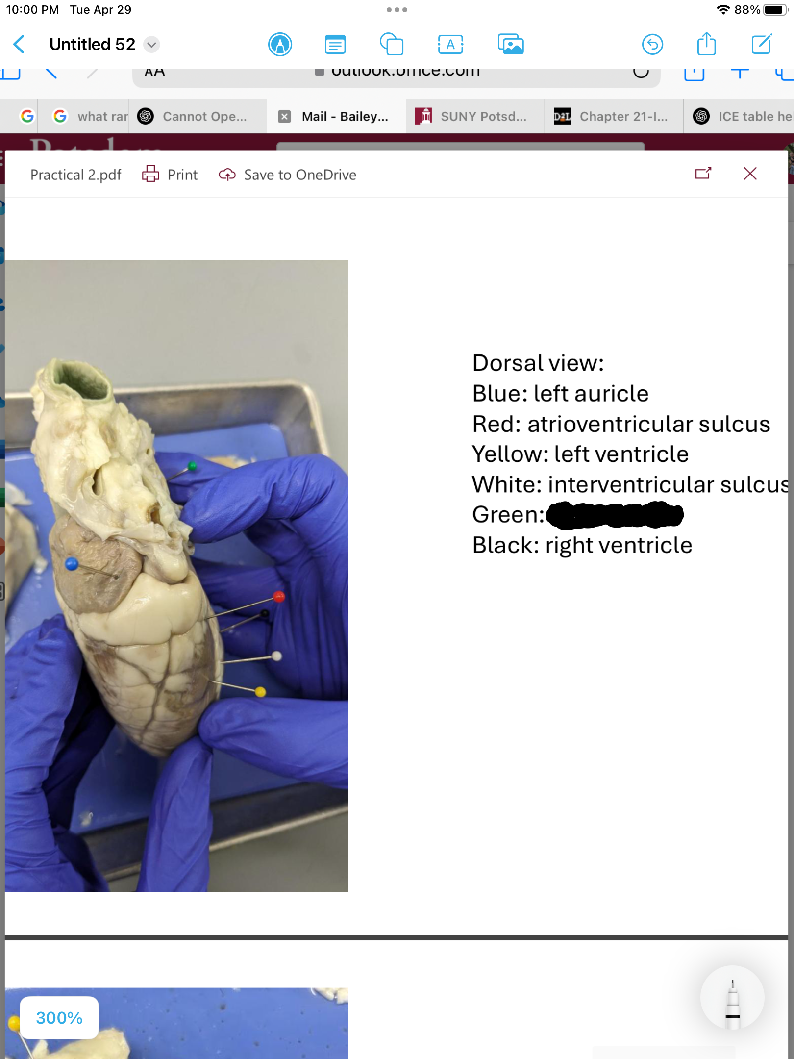 <p>label the area</p>