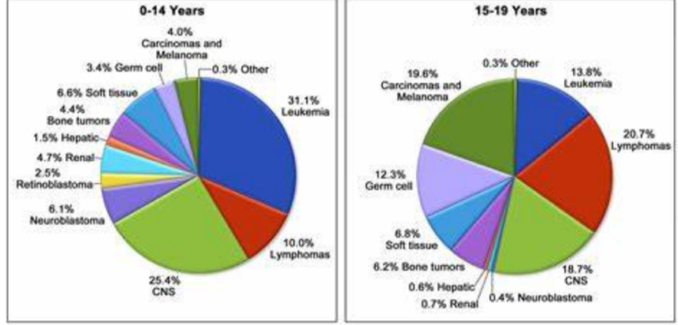 <p>Children</p><ul><li><p>most common cancer is leukemia (31%), Lymphoma and CNS cases</p></li></ul><p></p><p>Teenages</p><ul><li><p>lymphoma numbers increase and huge increase in carcinomas and melanomas</p></li></ul><p></p>