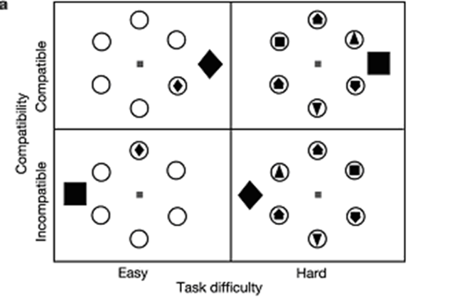 <p>measures information processing when distractors are present; difficulty is manipulated by compatability and difficulty</p>