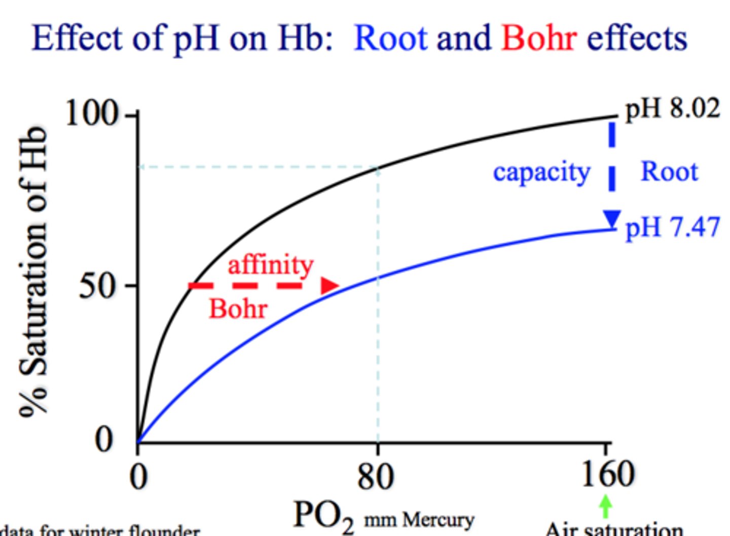 <p>Saturation (carrying capacity)</p><p>-low pH means low Saturation</p>