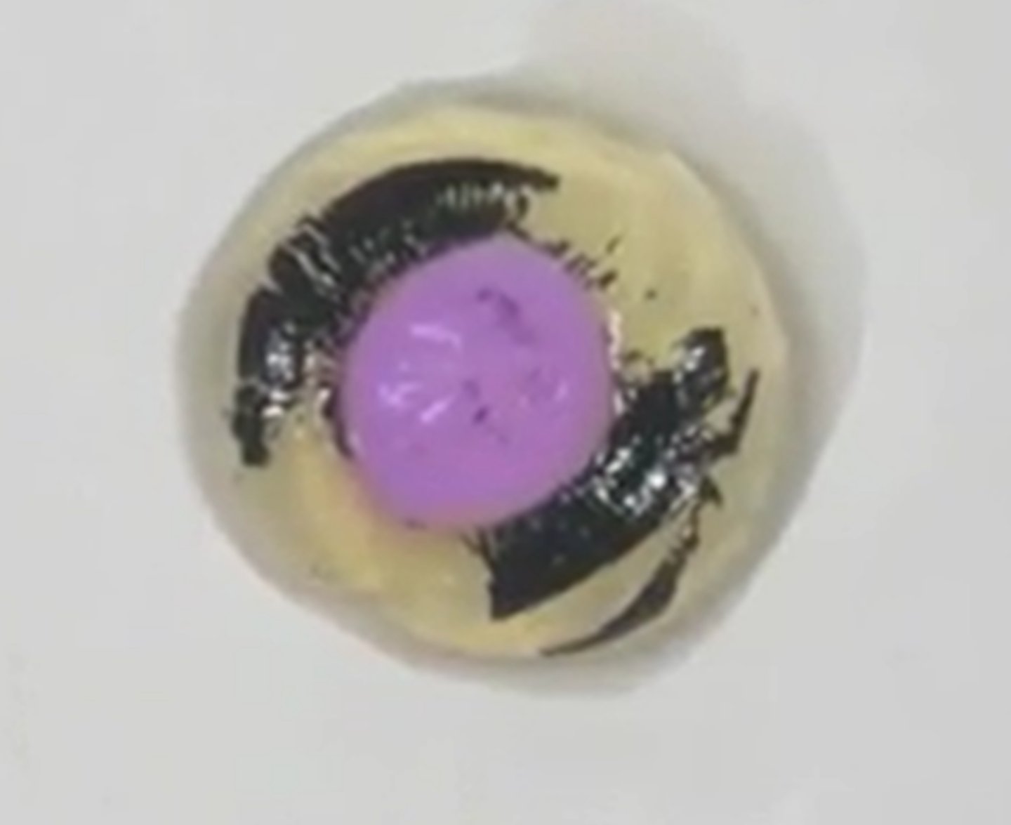 <p>lens</p>