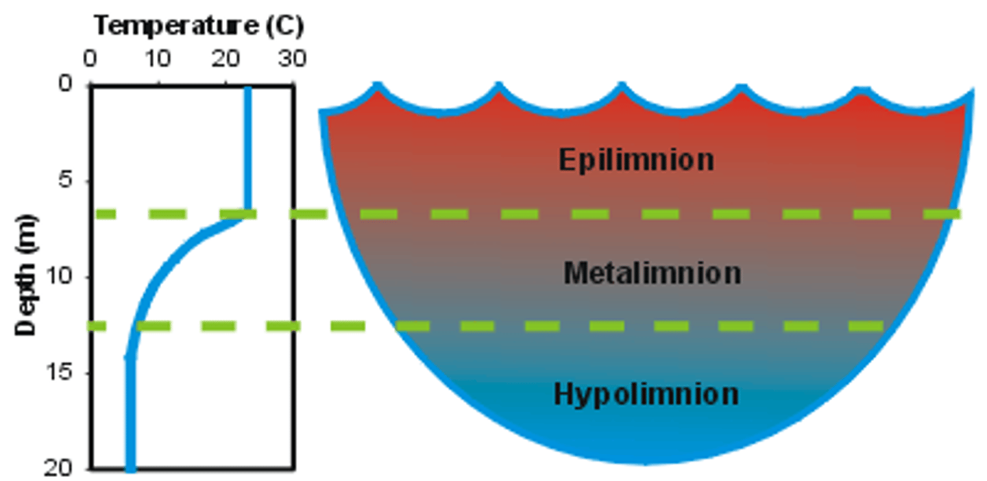 <p>. - Water is densest at 4°C. In tropical regions, after spring ice melts, the water surface temp of lakes will rice from 0°C to 4°C where the dense surface water will sink to the bottom of the lake.<br>- This overturn brings oxygen to the bottom and nutrients to the top and occurs during spring and fall</p>