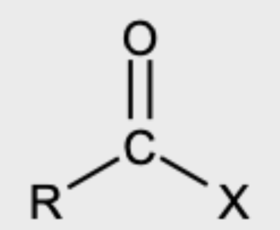 <p>Naming </p>