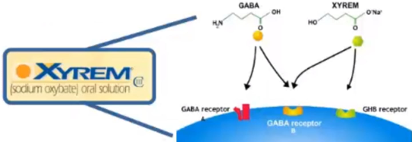 <p>Xyrem</p><p>CIII for narcolepsy</p><p>MOA: gamma-hydroxybutyrate (GHB) -&gt; GABA metabolite</p><p>- likely related to GABAb activity to increase REM sleep</p><p>[BLACK BOX]: risk of abuse, misue, death; REMS</p><p>- must take at bed time and 2.5-4 hours later</p><p>- date rape drug</p>