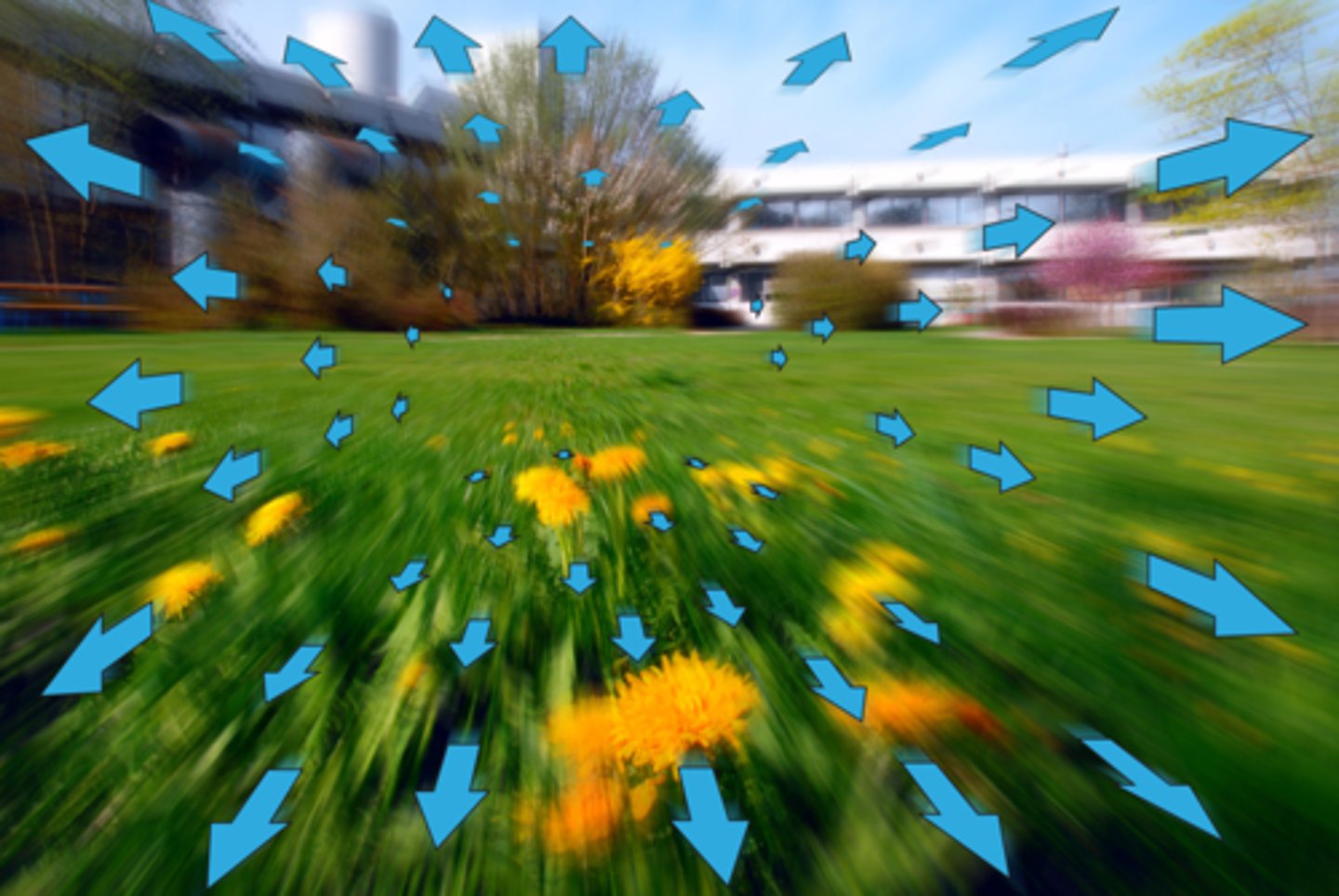<p>The change in patterns of light rays from the environment as they "flow" over the retina during continuous movement of the eye through the environment, allowing perception of motion, position, and timing.</p>