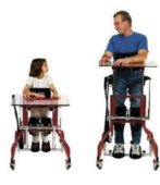 <ul><li><p>Consists of broad base, posterior non articulated uprights extending from a flat base to a mid torso chest band, a posterior thoracolumbar band</p></li><li><p>Training upright position and only permits standing with knees straight</p></li><li><p>For children and adults</p></li></ul><p></p>