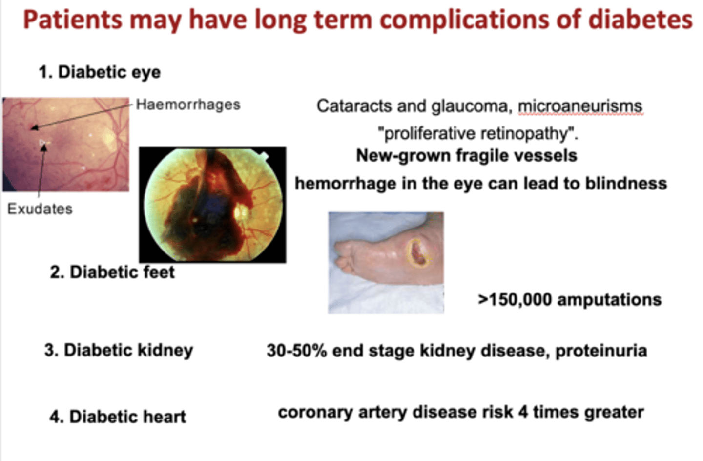 <p>- Eyes (cataracts and glaucoma, microaneurisms)</p><p>- Feet (amputations)</p><p>- Kidneys (proteinuria)</p><p>- Heart (coronary artery disease risk)</p>