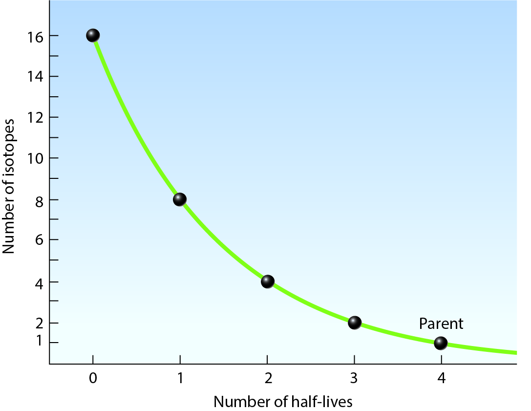 In the diagram shown,

a. if the half-life of the parent material is 4000 years, 3 on the horizontal axis pf the graph represents 120000 years

b. in 2 g of parent material is present after three half-lives, 6 g of daughter material will also be present

c. equal amounts of parent and daughter material are present after the passage of 2 half-lives

d. the area above the curve represents the amount of parent material present