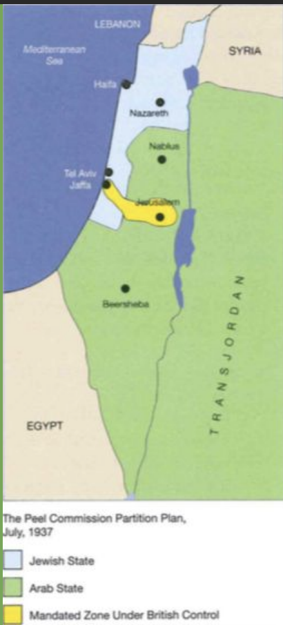 <p>Britain established another commission of inquiry. Lord Peel reported that the Arab's desire national independence and their fear of a Jewish national home in Palestine were the main causes for disturbances. The report also concluded that the Arab claims of the Jews obtaining too much "good land" cannot be maintained as "Much of the land now carrying orange groves was sand dunes or swamps and uncultivated while purchased". The Peel report figured that Arab and Jewish interests could not be negotiated and suggested that Palestine be partitioned between the two people. The Peel report figured that Arab and Jewish could not be negotiated and suggested that: Palestine was to be partitioned between the two people, Jewish immigration should be limited to 12,000 per year, the sale of land by Arabs to Jews should be restricted, and the Arab agency should be created based on the Jewish model.</p>