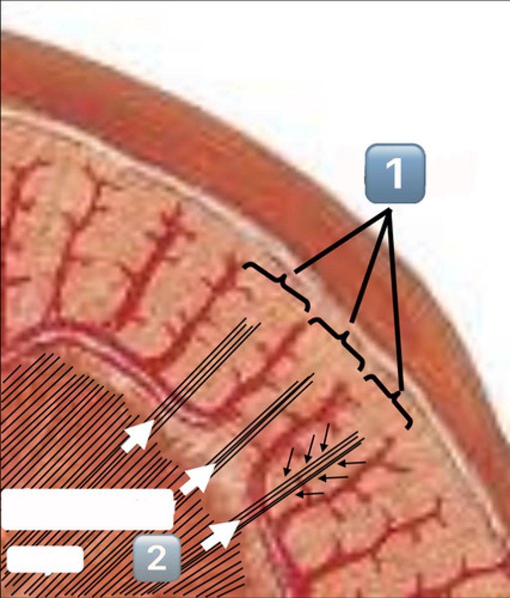 <p>2. ?</p>