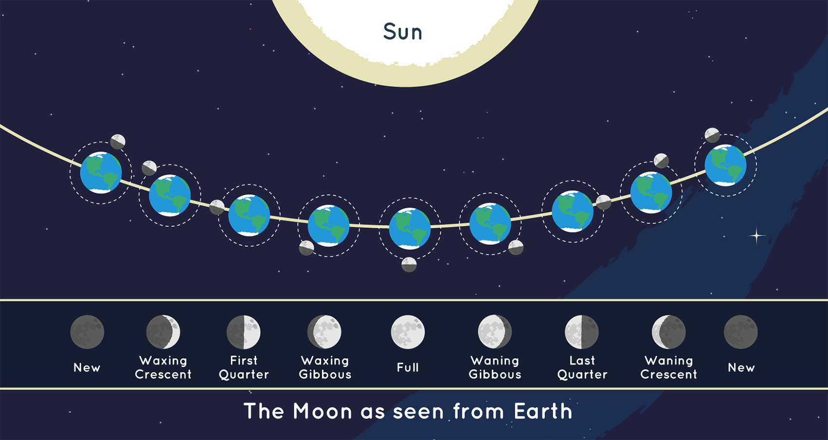 <p>the cycle of the amount of sunlight illuminated on the moon that is visible on Earth</p>