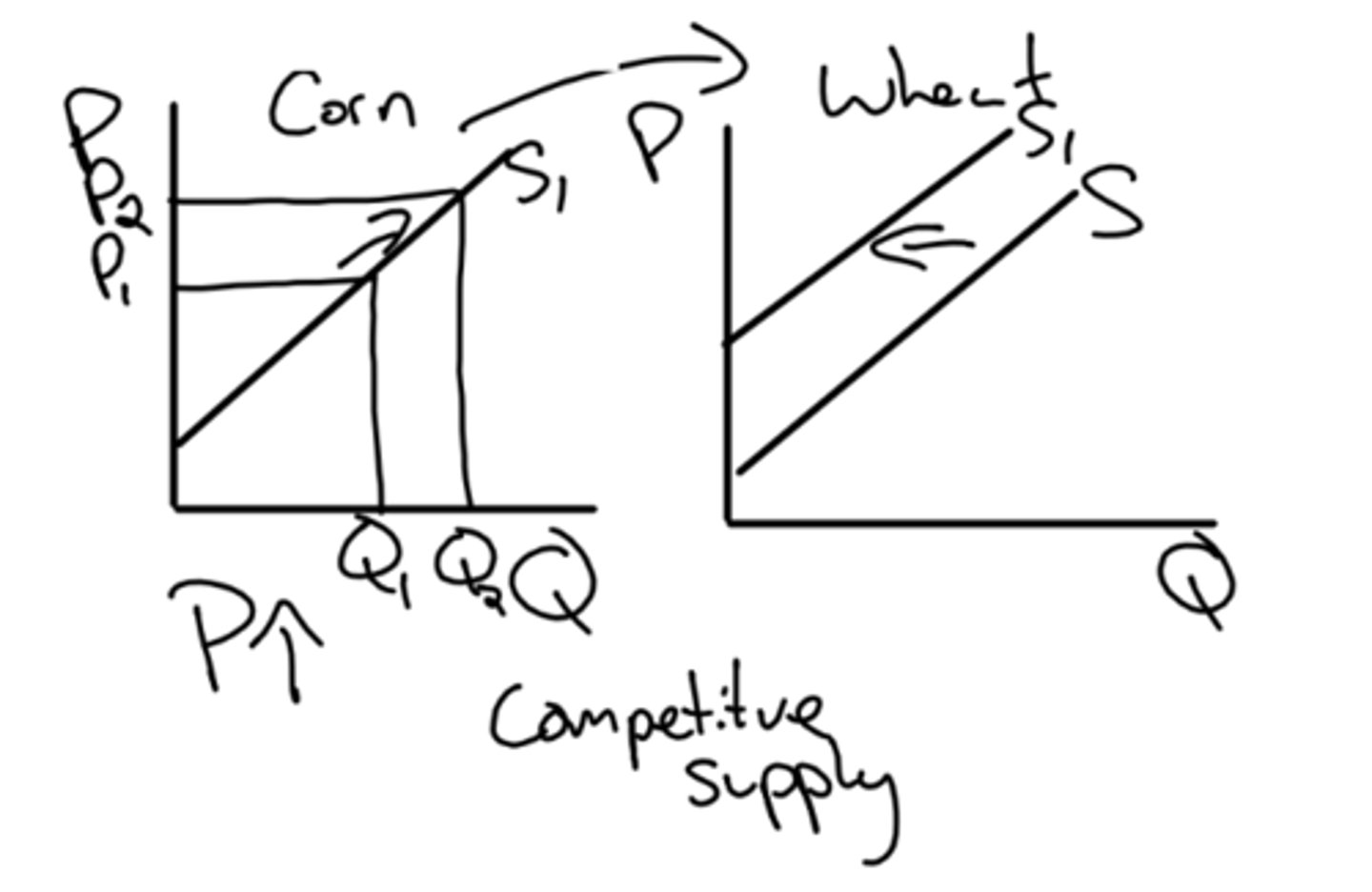 <p>example of competitive supply</p>