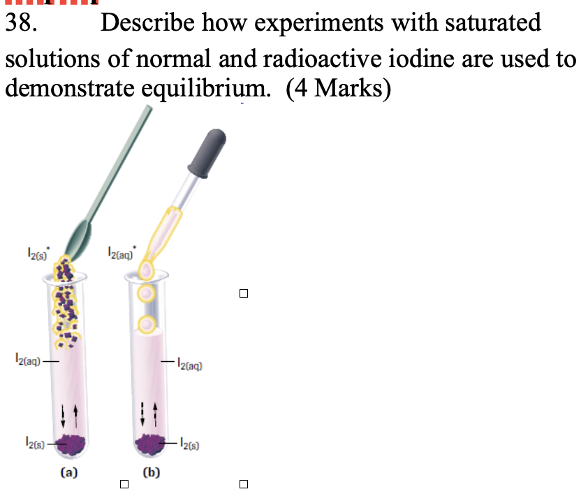 <p>Describe how experiments with saturated solutions of normal and radioactive iodine are used to demonstrate equilibrium.&nbsp; (4 Marks)</p>