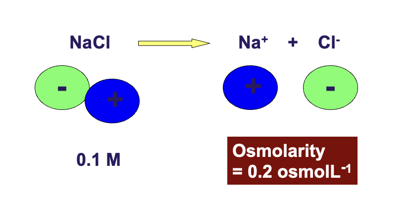 <p>Solutions containing different particles but having the same osmolarity will have the same osmotic pressure</p>
<p>0.1 M NaCl = 0.2 M glucose</p>
<p>0.1 M NaCl is osmolar to 0.2 gluclose bc 0.1 NaCl will dissociate into 0.1 Na+ 0.1 Cl- = 0.2osmoles/litre</p>
<p>all ionic compounds dissociate into ions in solution which in turn increases the total number of particles in solution</p>