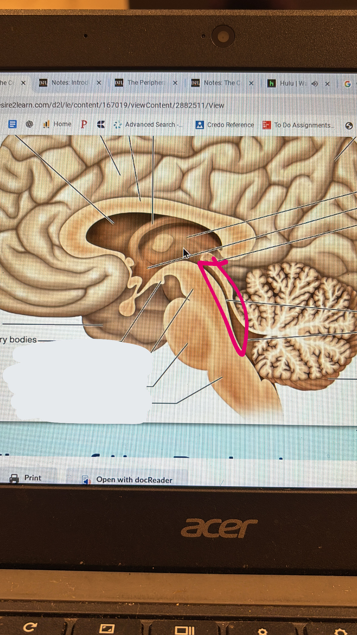 <p>little tube thing separating the cerebellum and the brain stem </p>