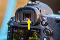<p><span>the </span>part<span> of a </span>camera<span> that you </span>look<span> through to </span>see<span> what it is that you are taking a </span>photograph<span> of</span></p><p></p>