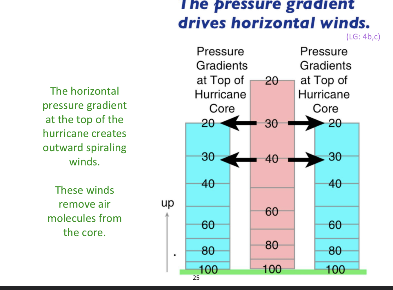 <ul><li><p>drives horizontal winds</p></li><li><p>creatures outward spiralling winds</p></li><li><p>winds remove molecules from the core</p></li></ul>