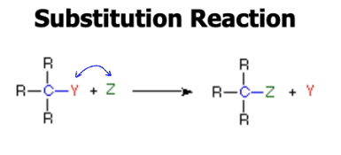 <p>atom or group of atoms are replaced by another </p>