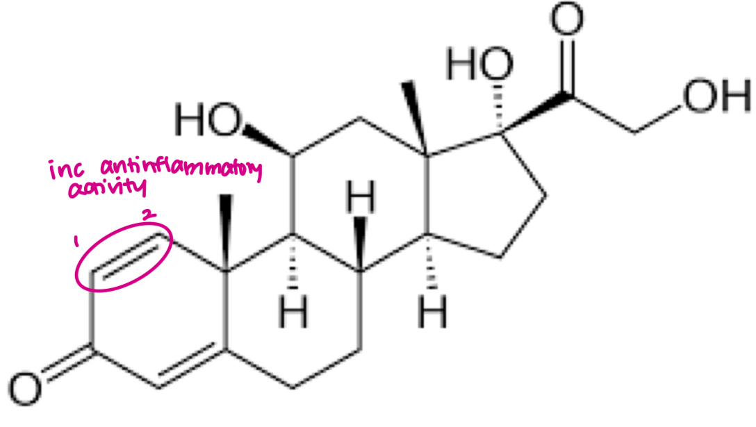 <p>- pregane (21 C) synthetic</p><p>- most commonly used</p>