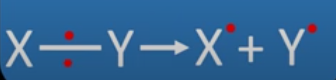 <p>Where the bond breaks with the pair of electrons in the bond being shared equally to form 2 uncharged radicals. The dot means there is an unpaired electron on the atom.</p>