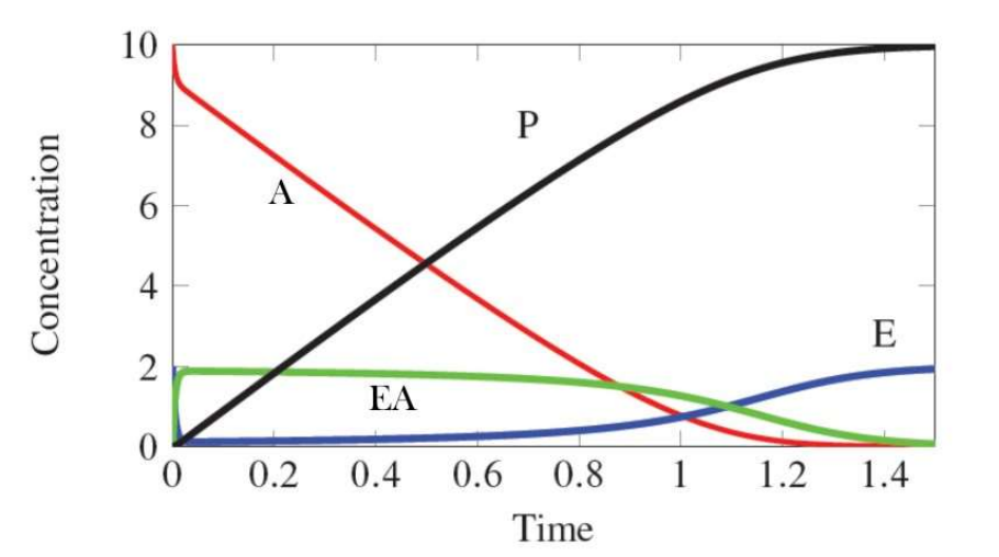 <p>In the following graph what range of x-values corresponds to steady state?</p>