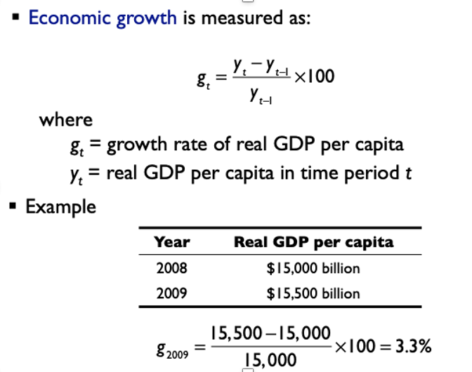 <p>growth rate of real GDP per capita</p>