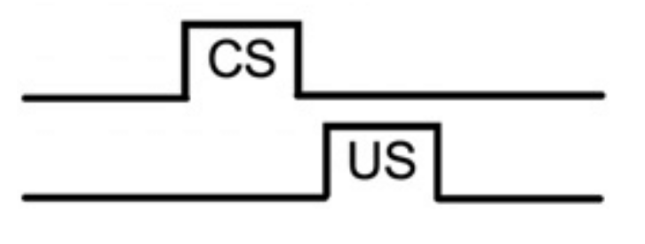 <p>Temporal arrangement where the CS is presented for a brief period, on &amp; off, and after some time the US occurs (comes from idea of &quot;memory trace&quot;)</p>