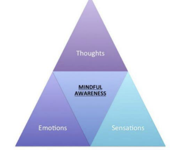 <p><strong><u>== thoughts + emotions + sensations</u></strong></p>