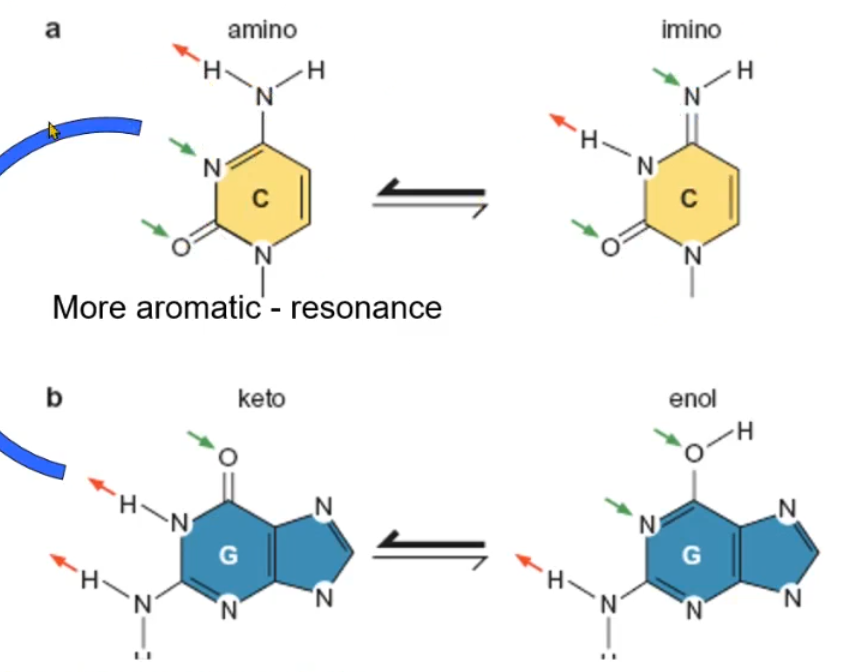 <p>what do the red and green arrows represent in the diagram?</p>