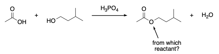 <p>which reactant provides the arrow-indicated oxygen in isopentyl acetate?</p><p>acetic acid</p><p>phosphoric acid</p><p>water</p><p>isopentyl alcohol</p>