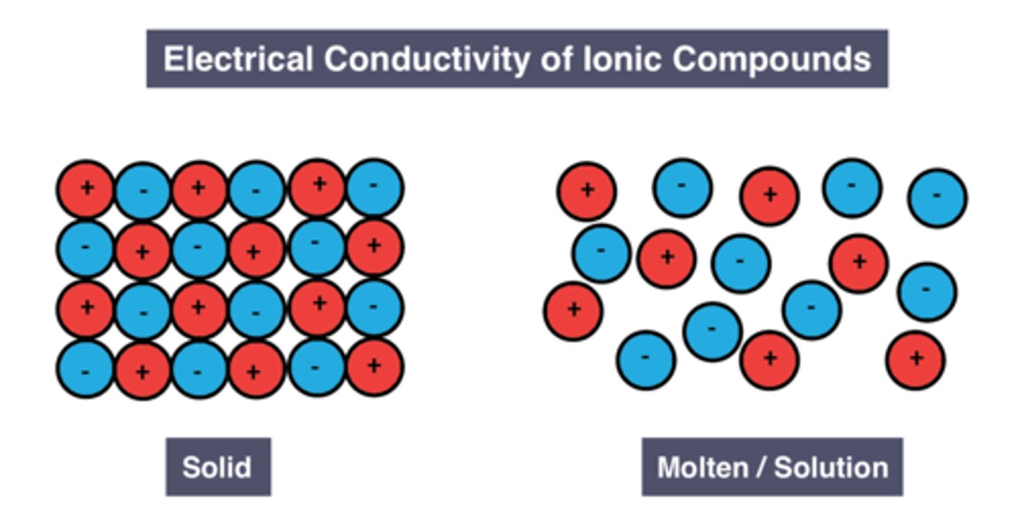 <p>Ions are free to move and carry charge</p>