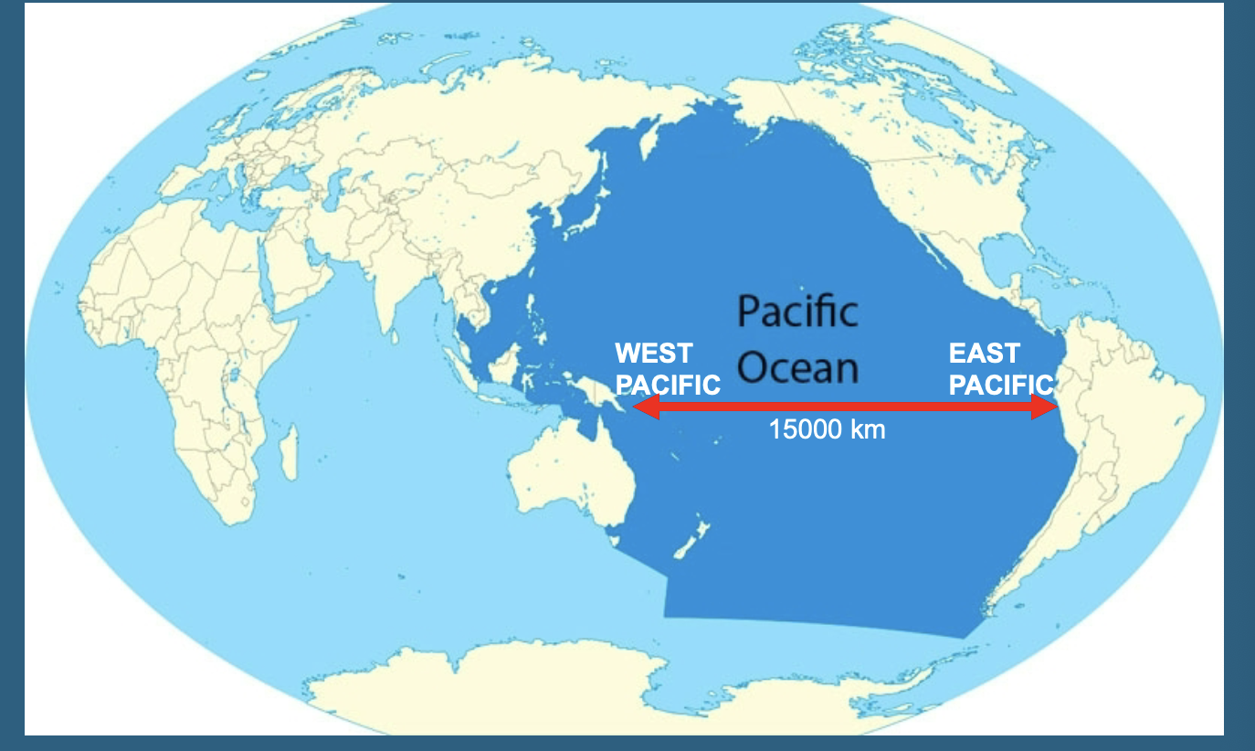 <ul><li><p>Characterised by higher SSTs in the western Pacific near Australia and lower SSTs in the eastern Pacific near the Americas, with a gradient between them.</p></li><li><p>Vallis, 2011</p></li></ul><p></p>
