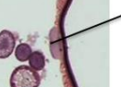 <p>What is this arrow pointing to?</p>