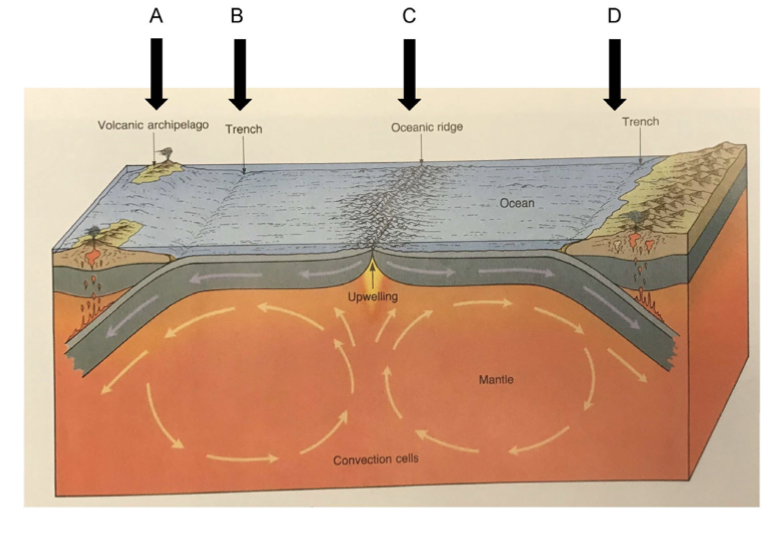 Which of these denotes a convergent plate boundary?