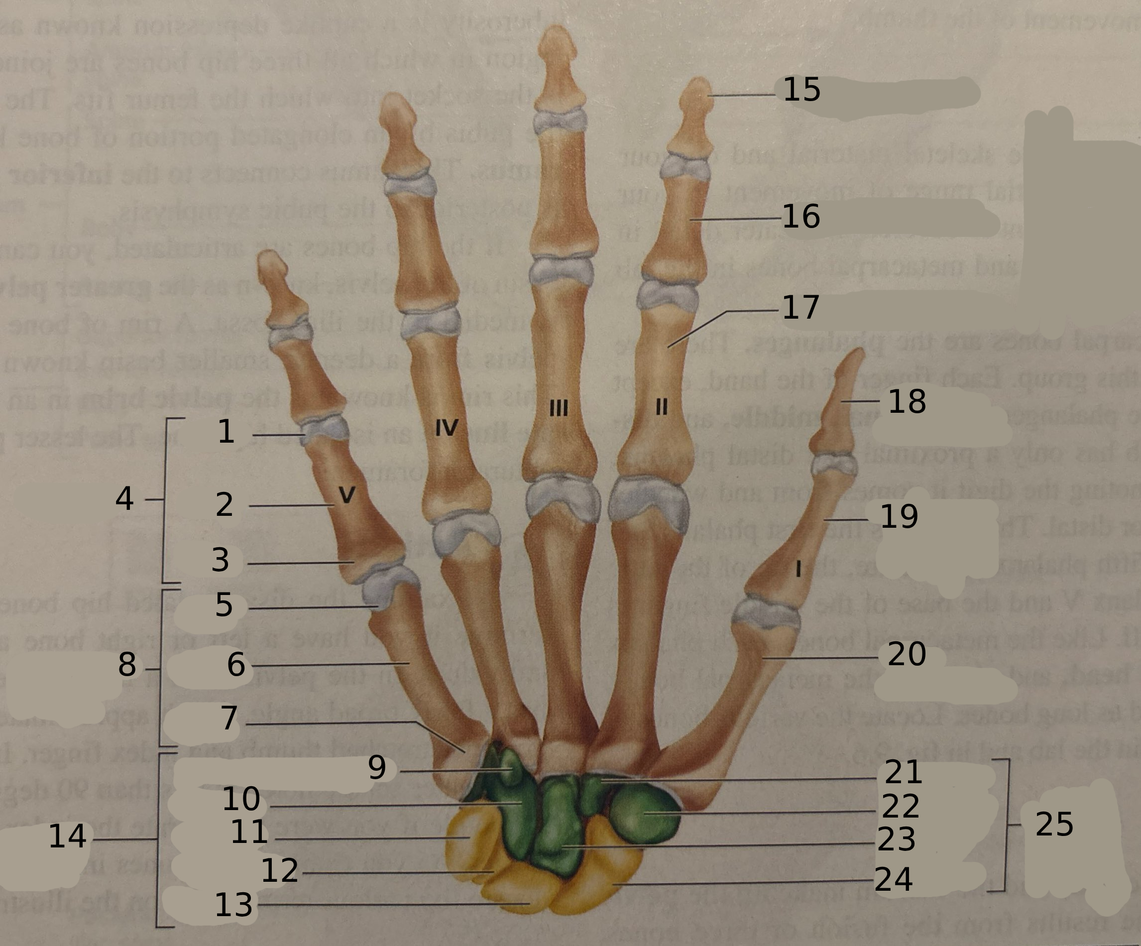 <p>#4</p>