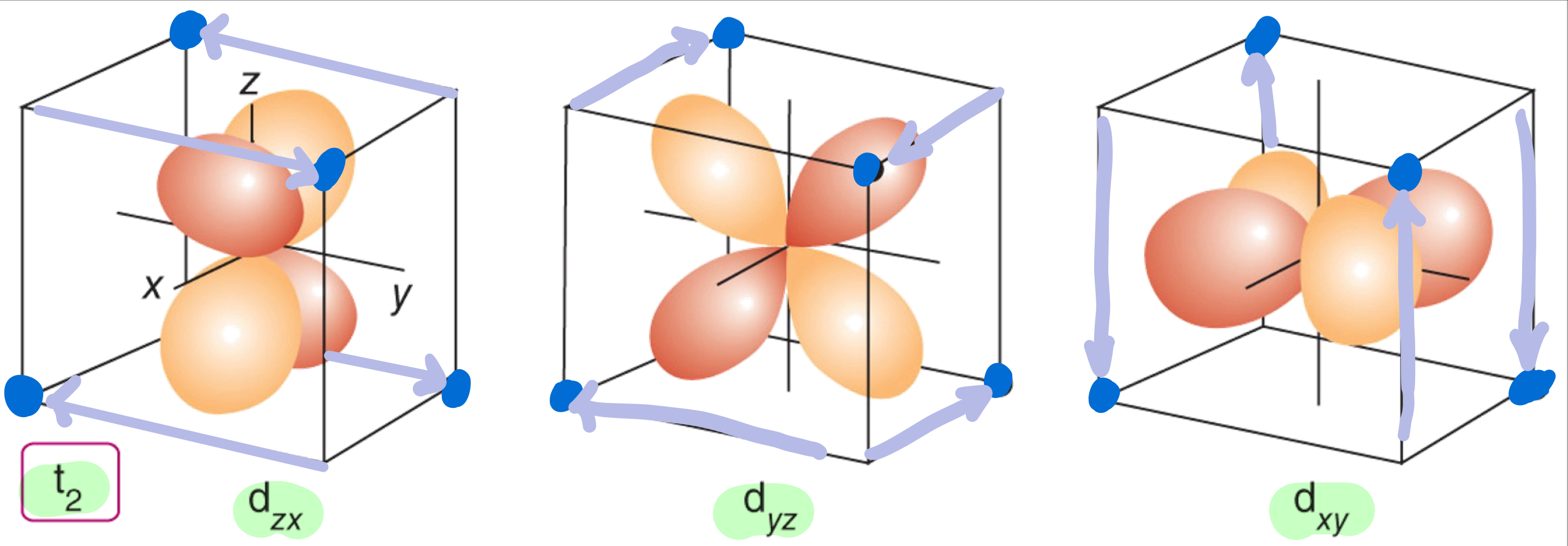 knowt flashcard image