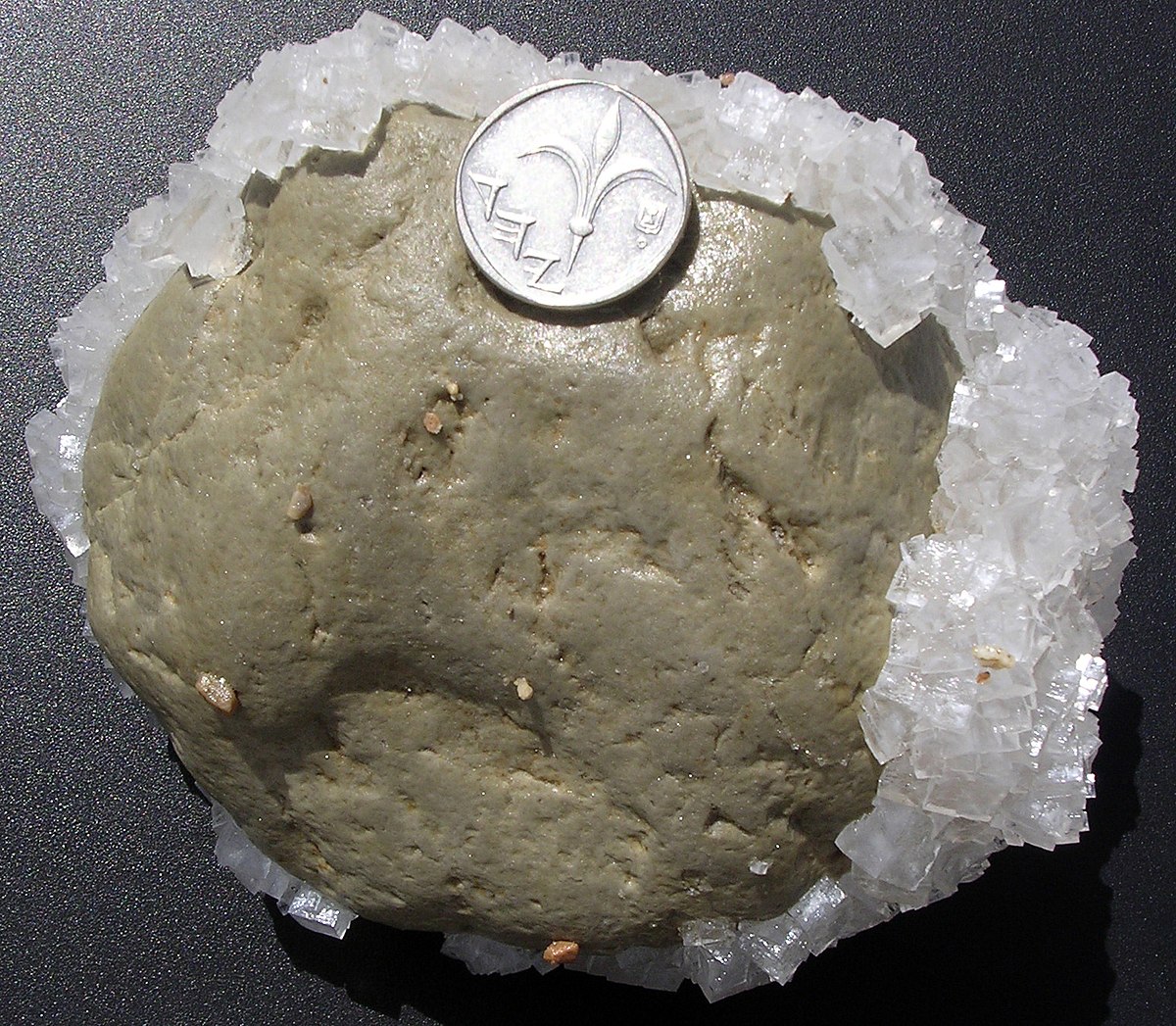 <p>Evaporite</p>
