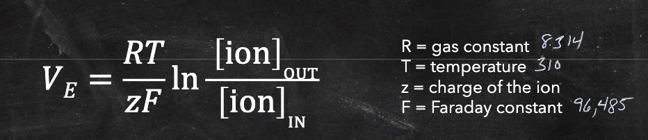 <p>used to calculate equilibrium potential </p>