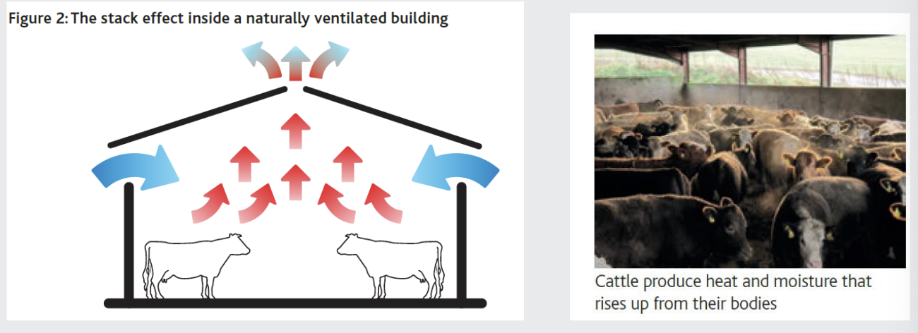 <p>Hot air rises and fresh air is drawn into the building</p><p></p><p>Note the open ridge and the gaps under the eaves of the roof</p>