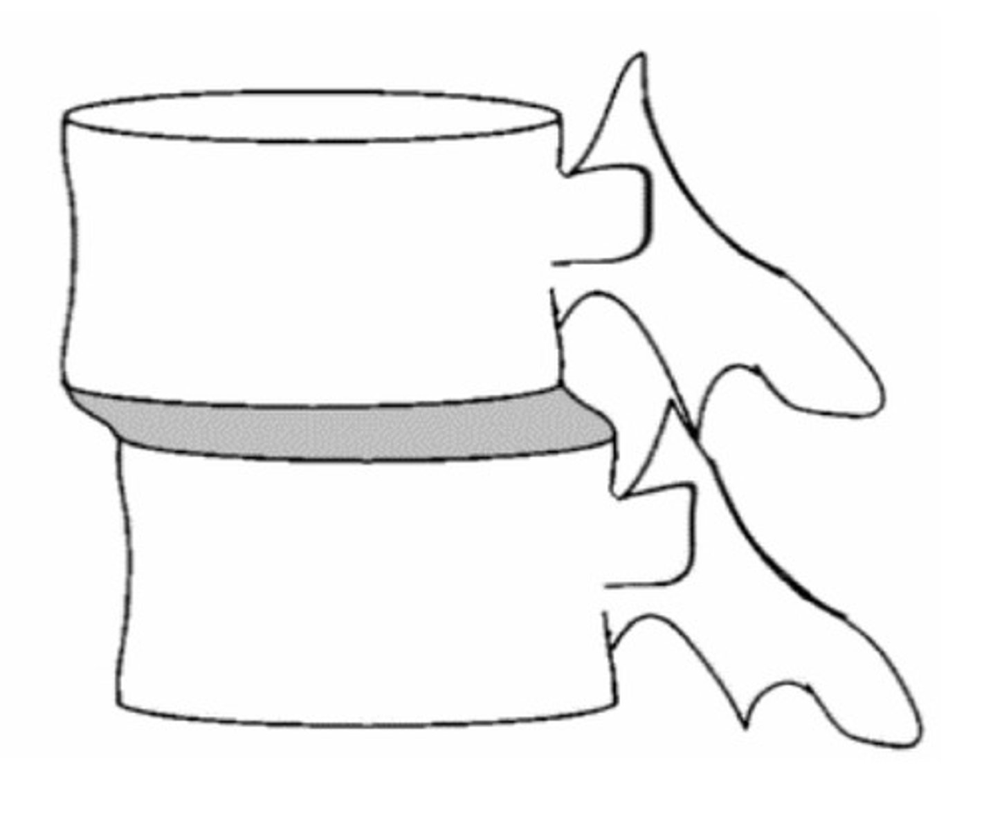 <p>Static listing</p>