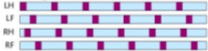<p>what pace is this </p>