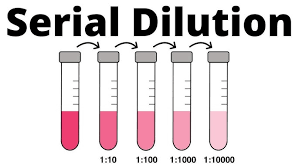 <p>serial dilution</p>
