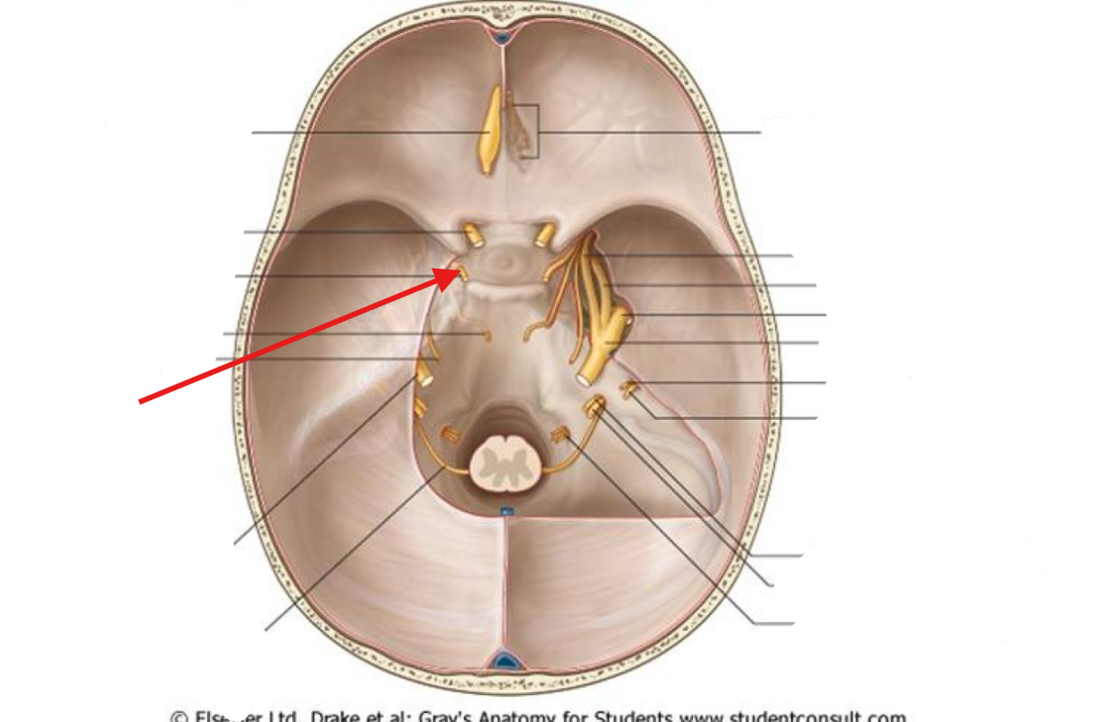 <p>What is this structure?</p>